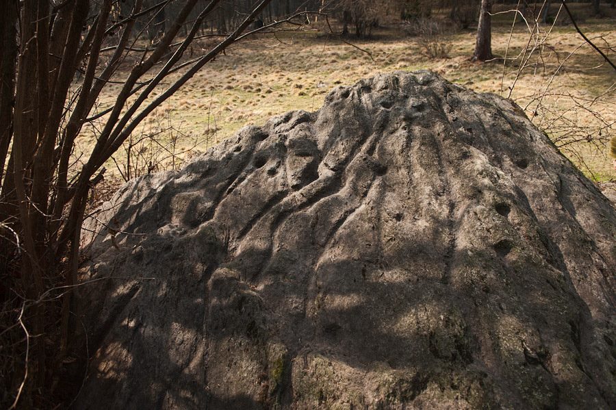 11008417_848380748550801_485897066656075394_n