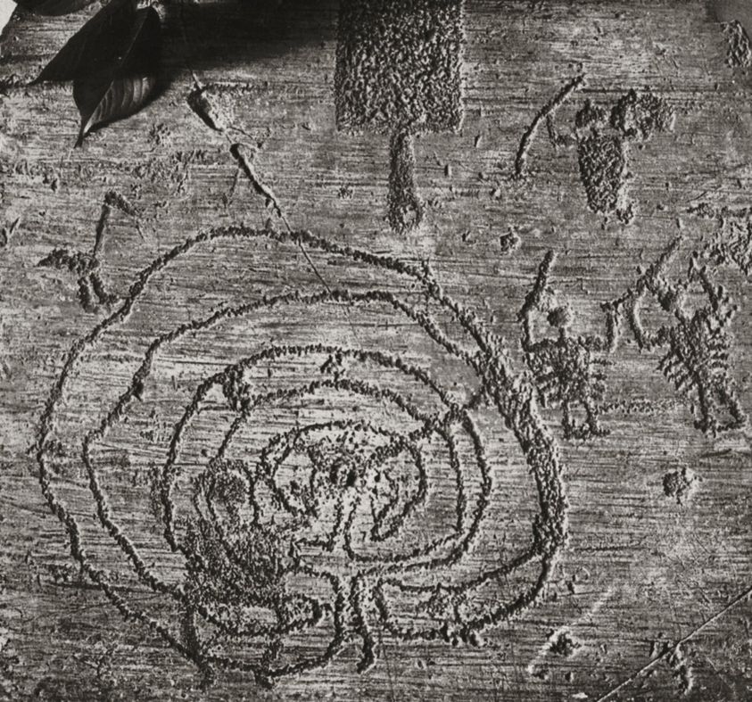 122386523_3915531101793890_7221376712511380139_o