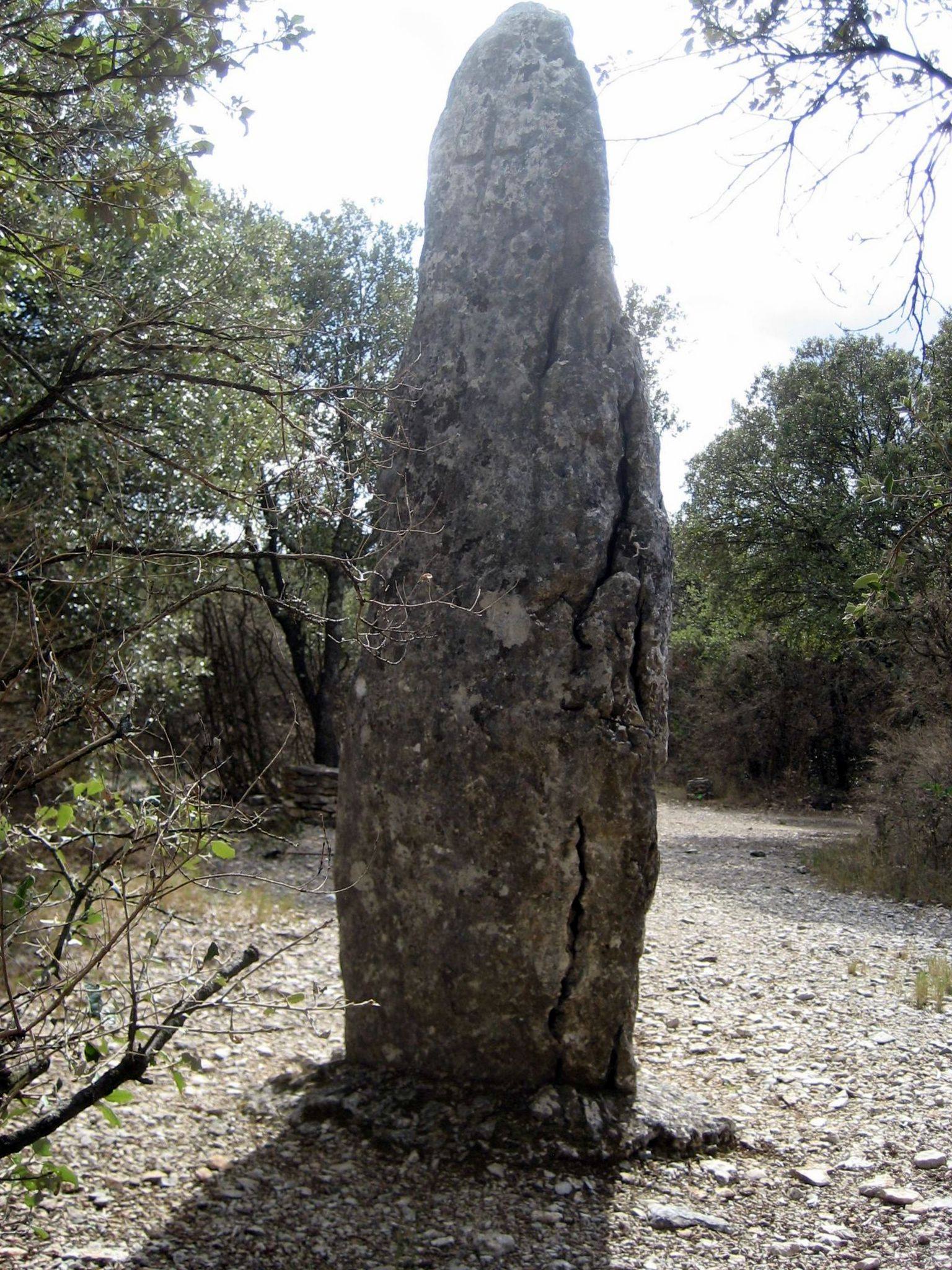 146400828_10215000219919014_8725080494956031552_o