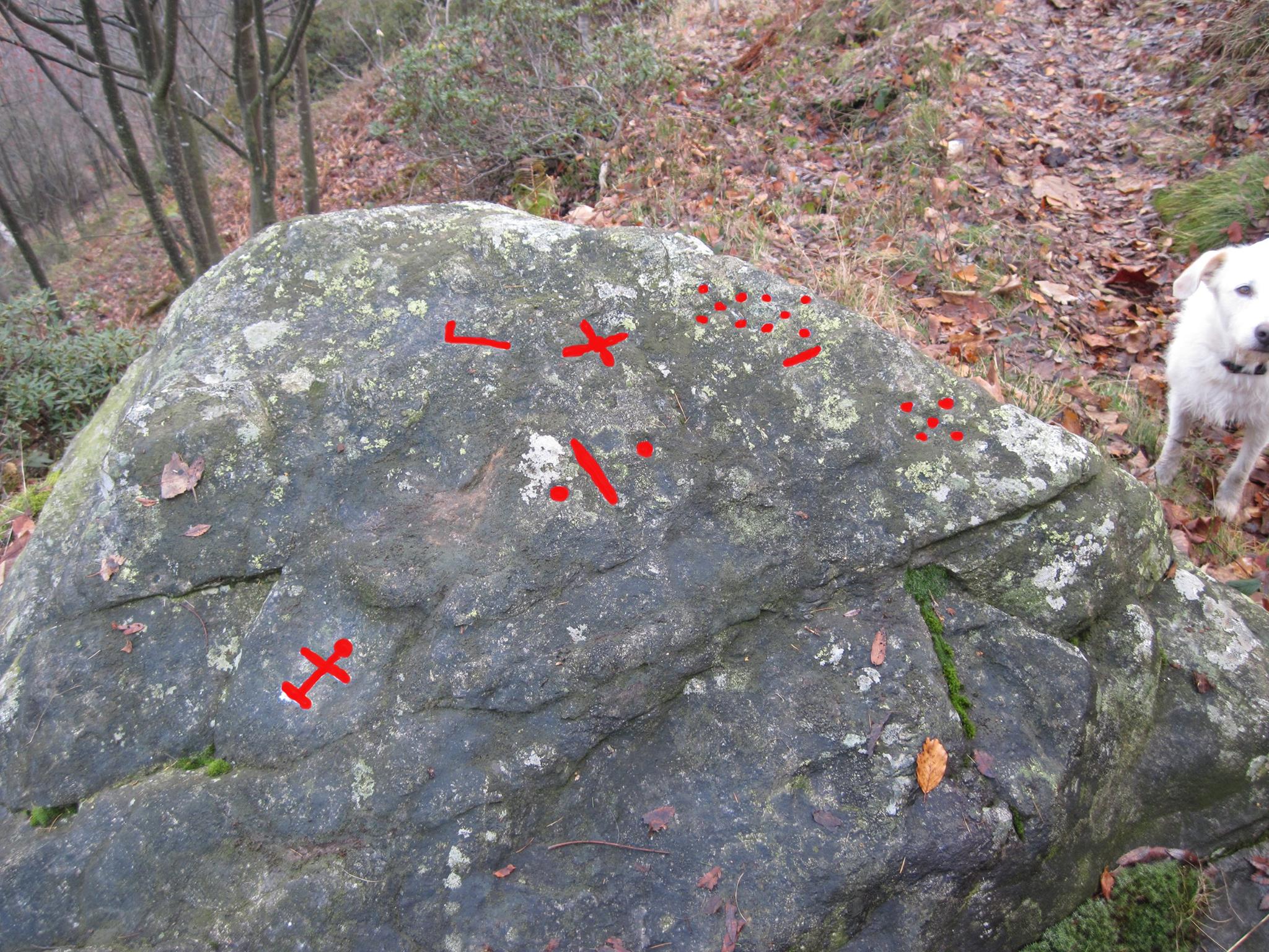 17807300_440196039663082_4280814449177927202_o