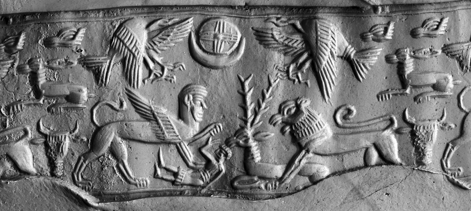 215503720_123824316578264_9057870963497431989_n