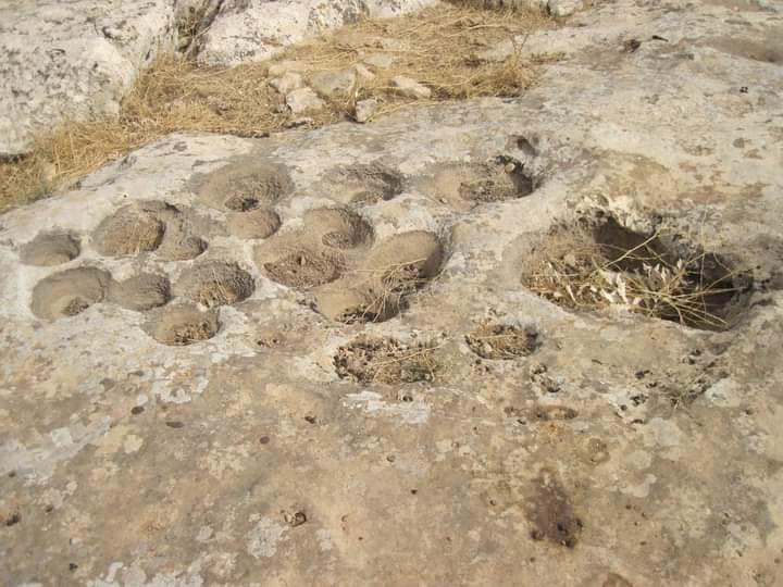 242733326_10159260036824566_5341480509846430900_n