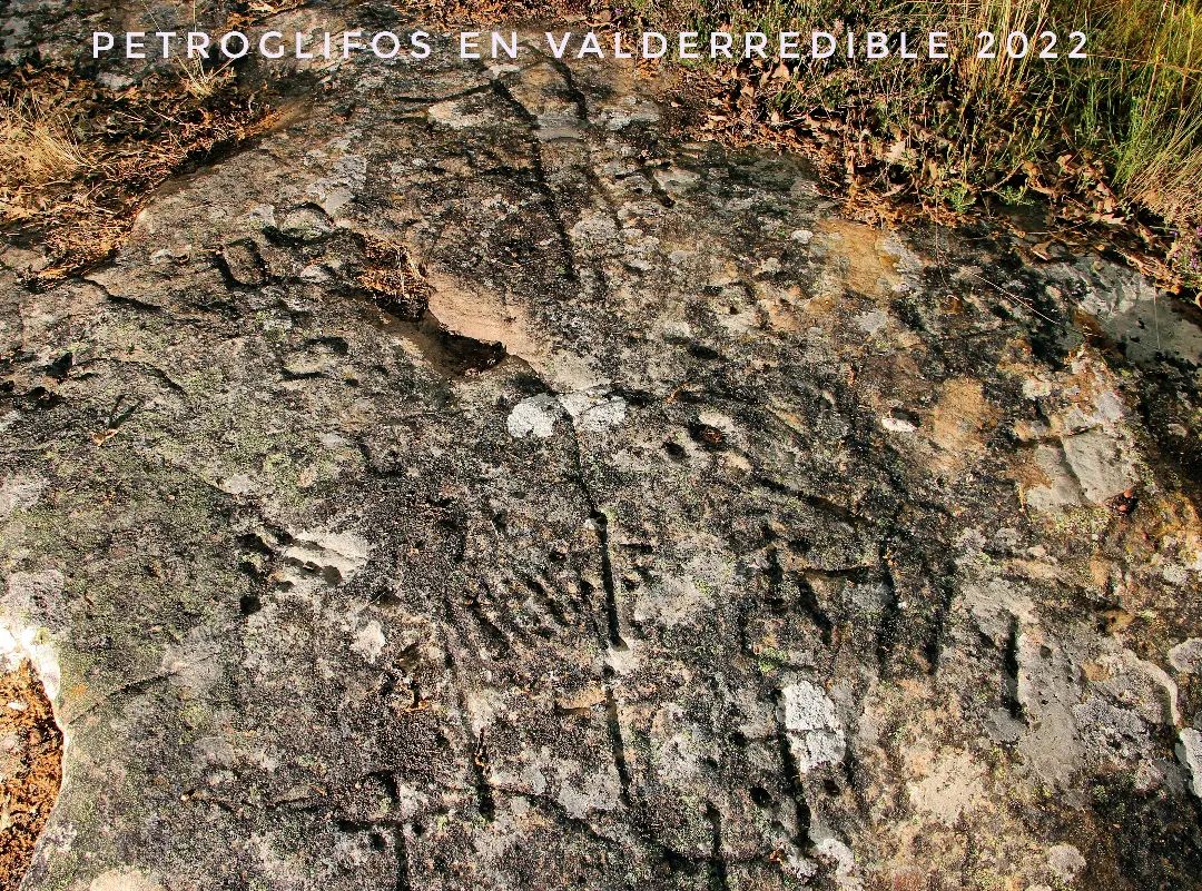 274919964_3164417693847566_233372441631685614_n