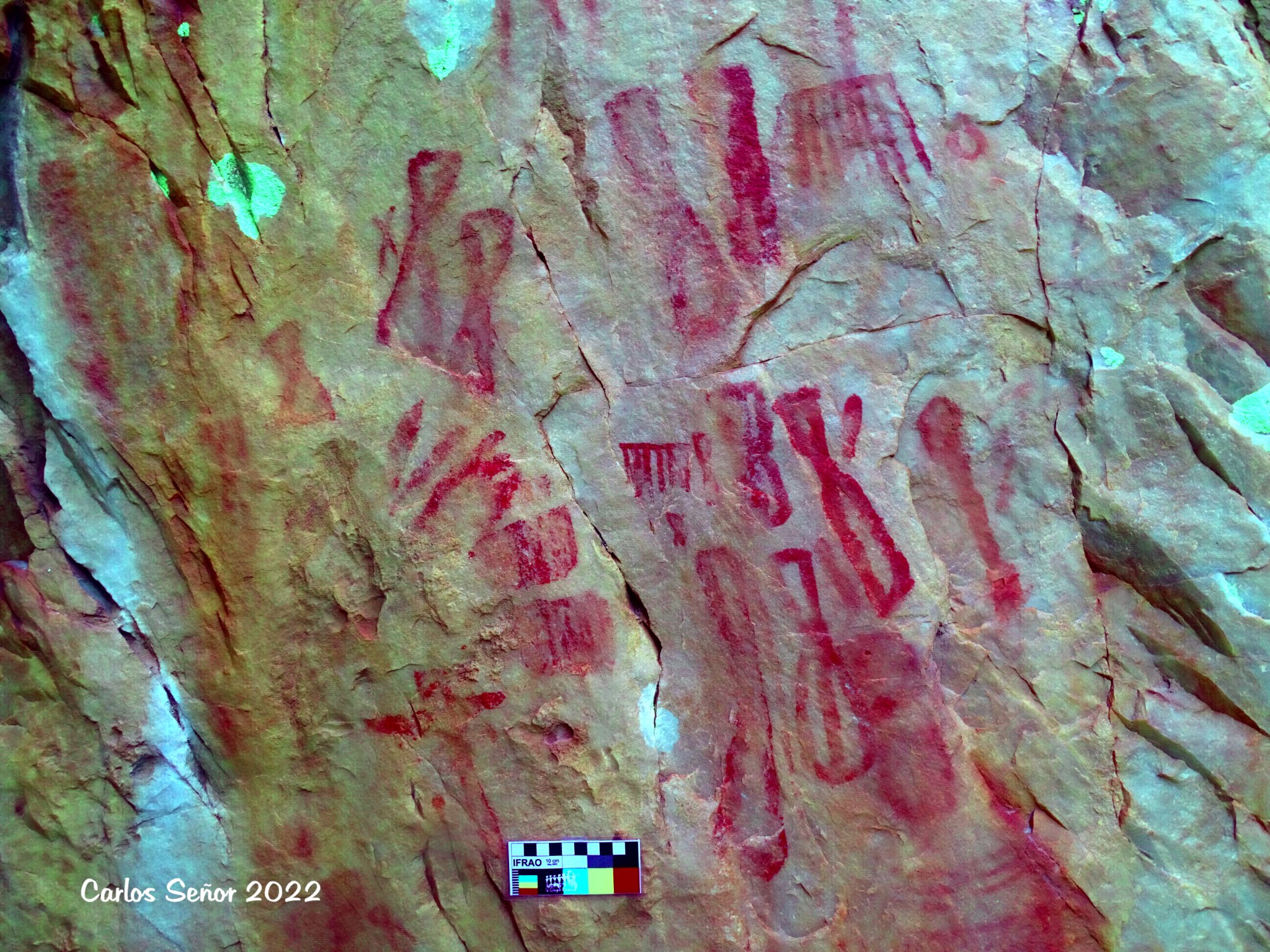 280027194_5412311005468126_1216925884023798043_n