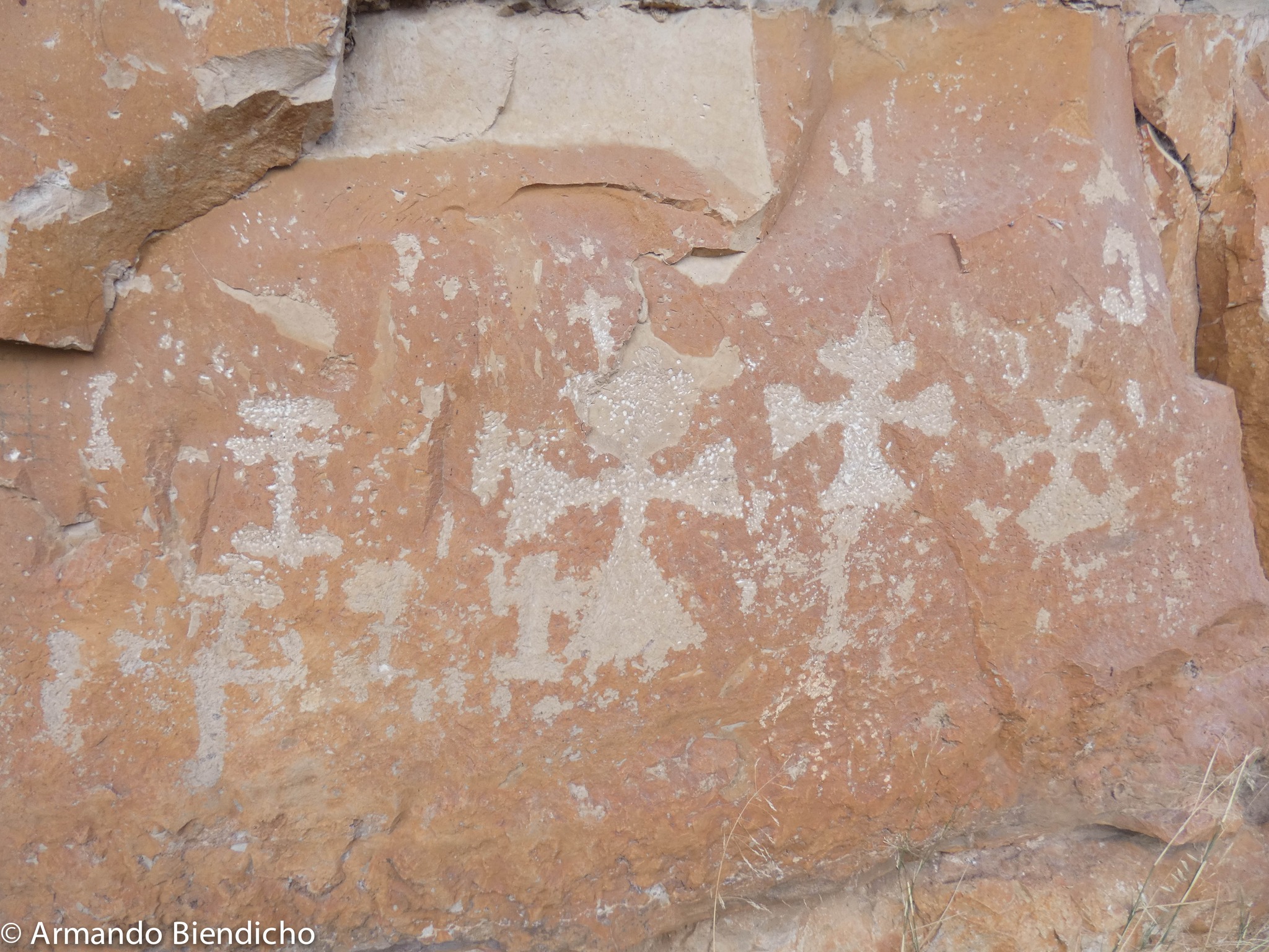 314367779_5404043429651280_1281503416990472300_n