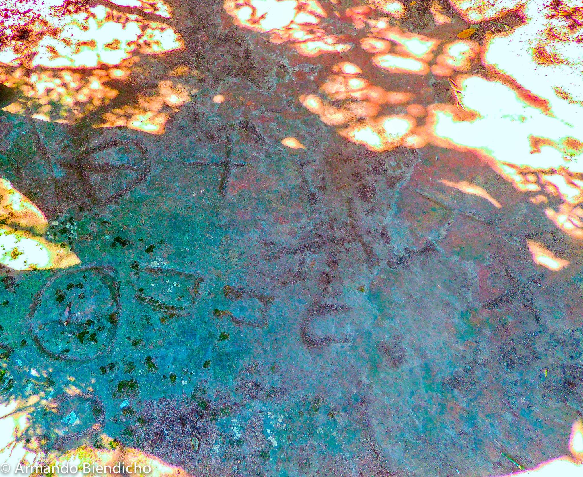 317089699_5458383814217241_1635569833662837144_n