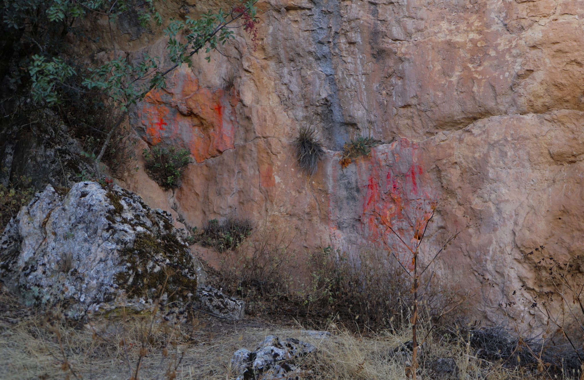 330558440_618158793653520_46932774279388035_n