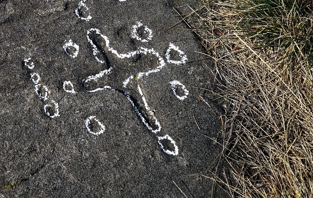 347370948_198378243139412_1561786745417096862_n