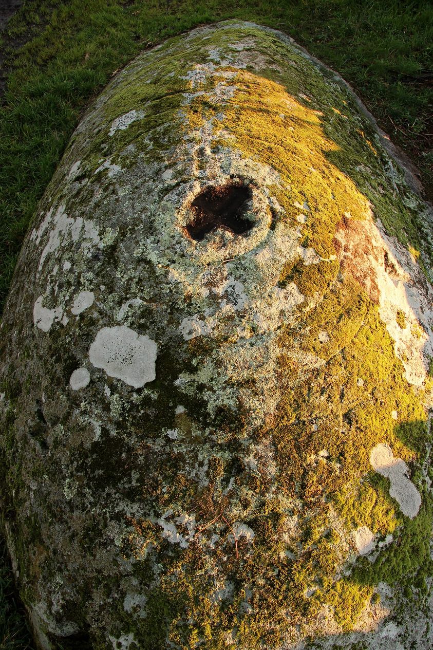 354232713_281924724349070_8785692539742995491_n