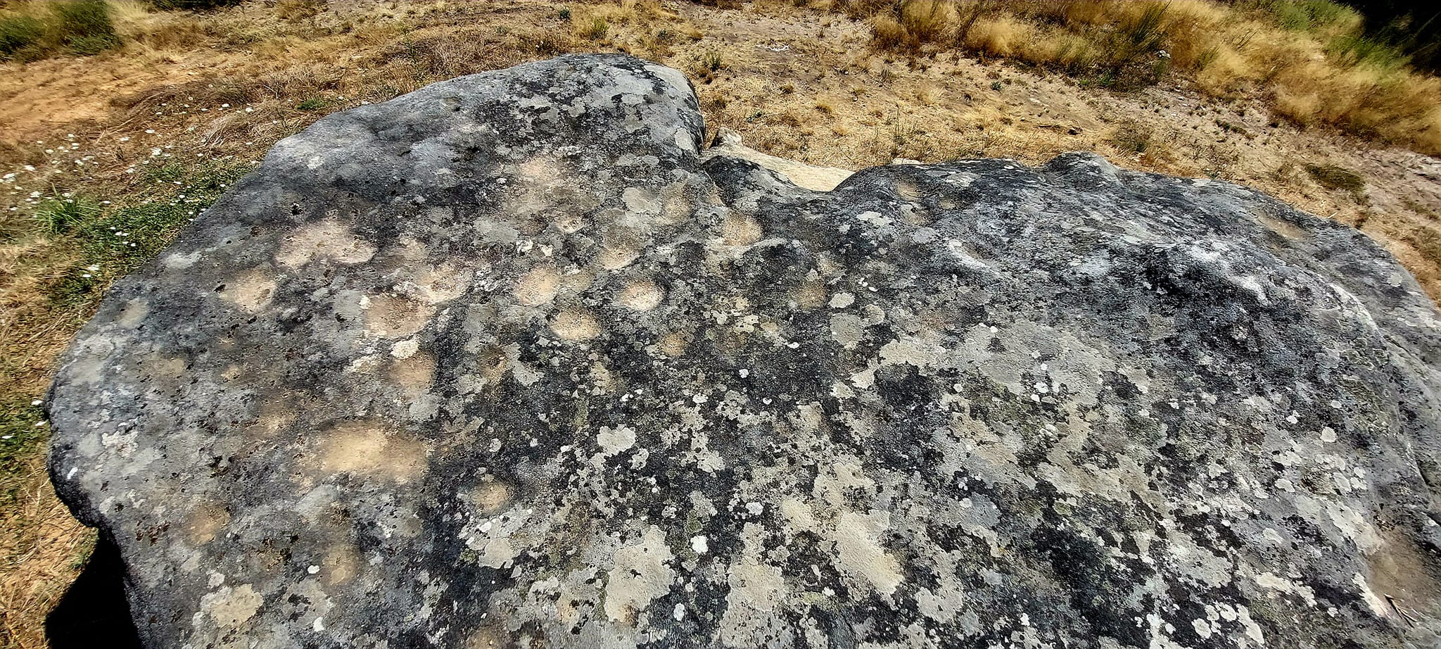 369648319_3118929284907893_7147663137300174601_n