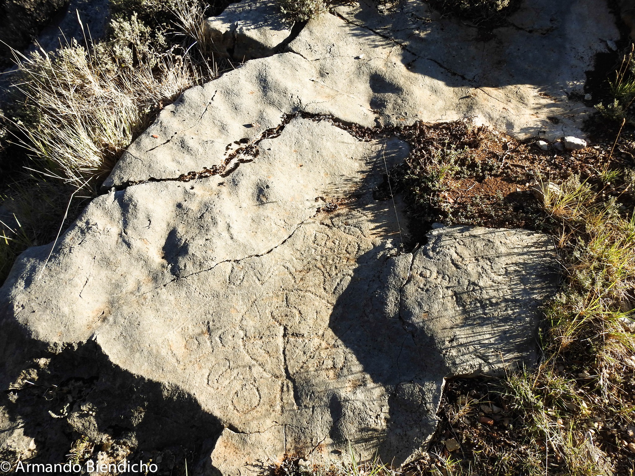 376861335_6390392707683009_4587586244514505549_n