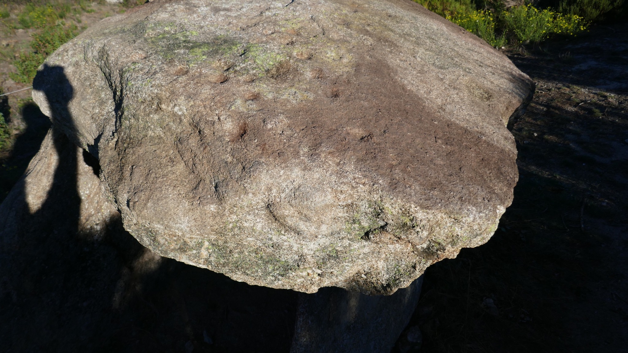 401250120_10160016563043121_6113381115414257787_n