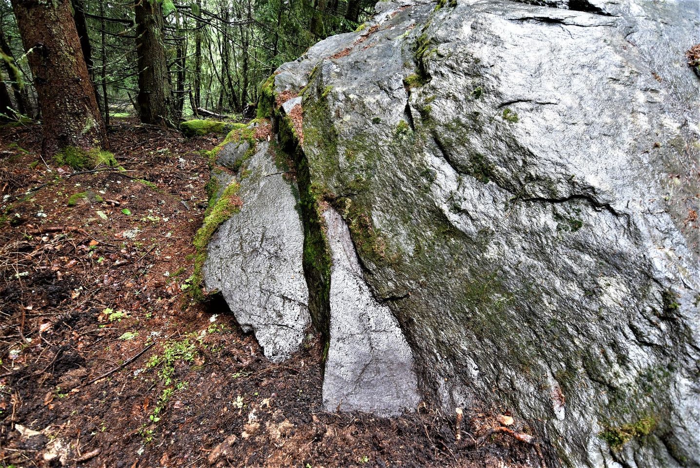 432411485_10233912135574035_1939259077171784570_n