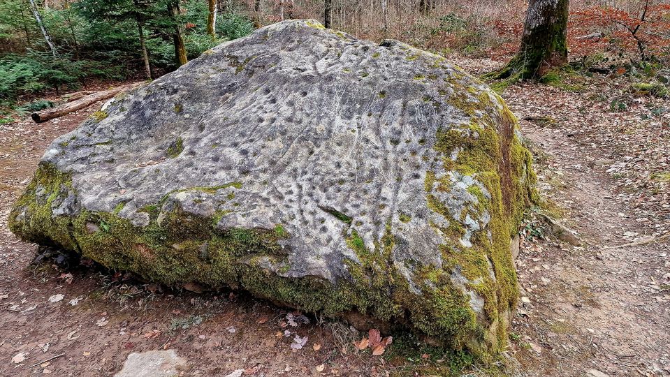 437968118_10160546644200735_5279910574222671073_n