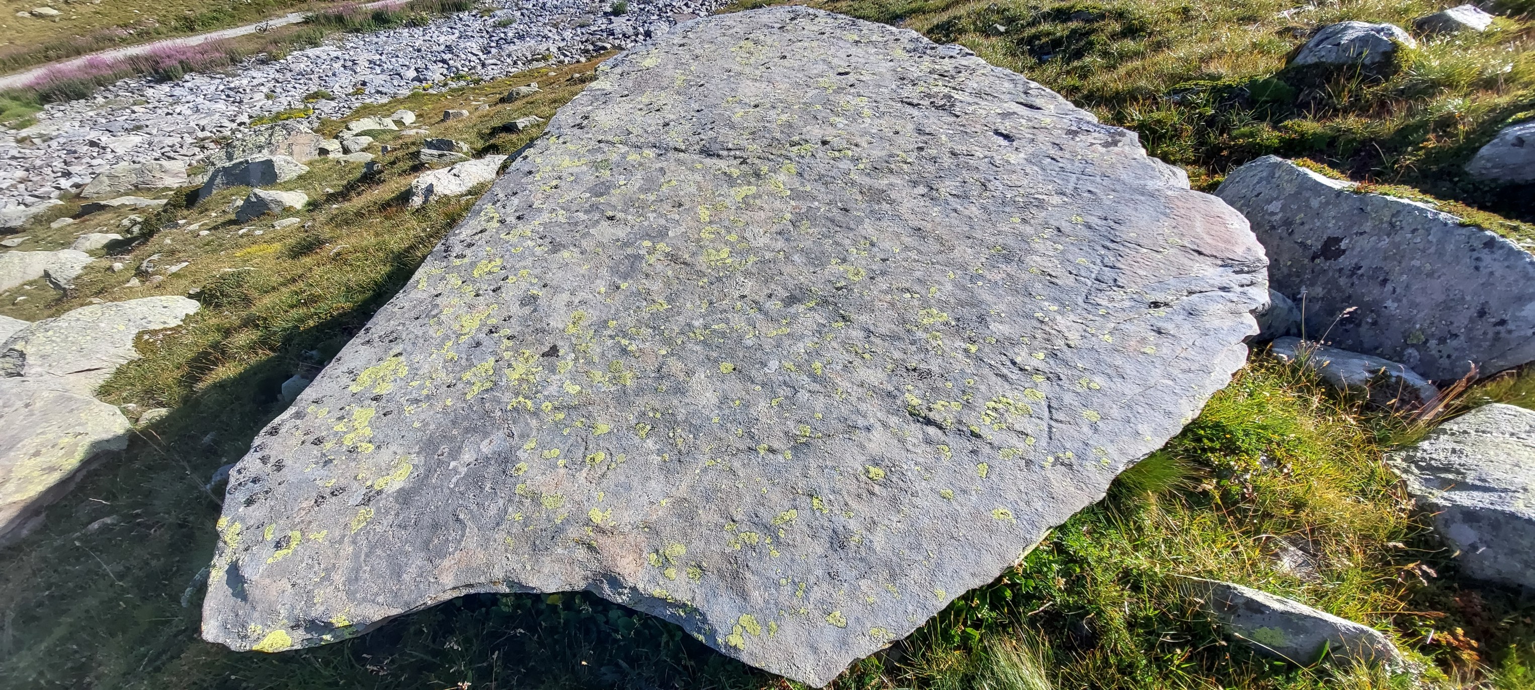 457691367_8276668099057775_202532252841896308_n