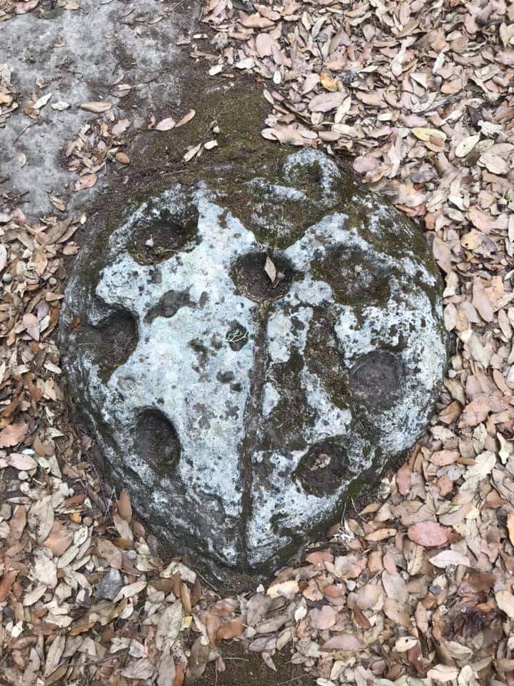 474826097_1116706436619984_5809814457535680613_n