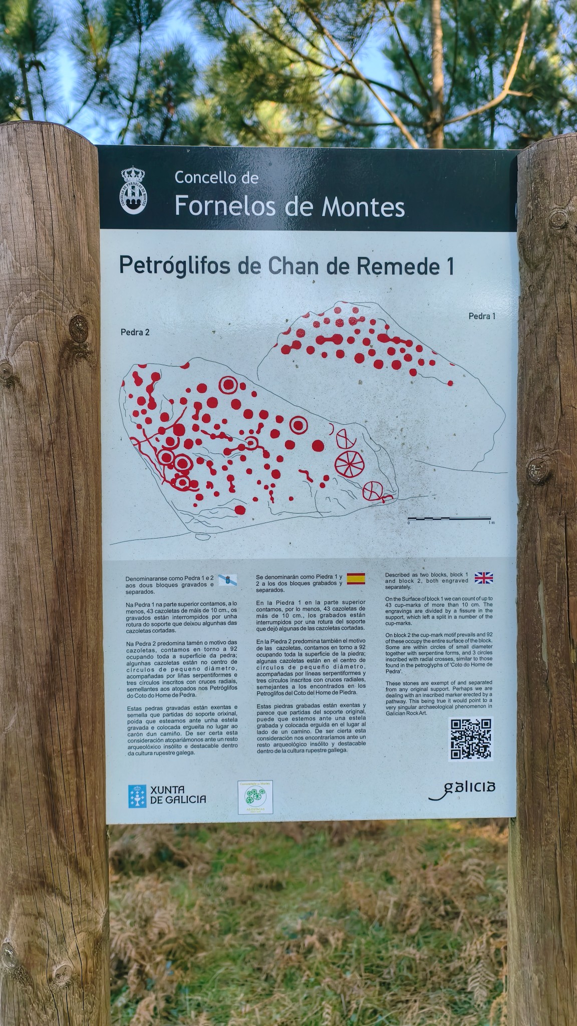 486703388_687140686996893_4856045859856014846_n