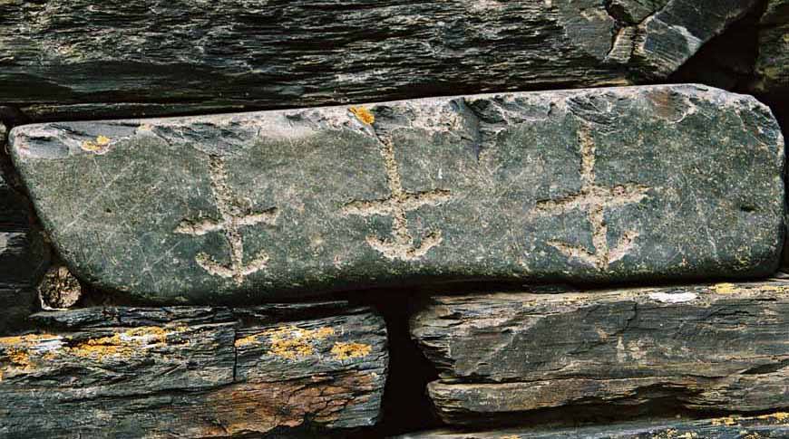 504202328_23887577144266369_7624884341334989013_n