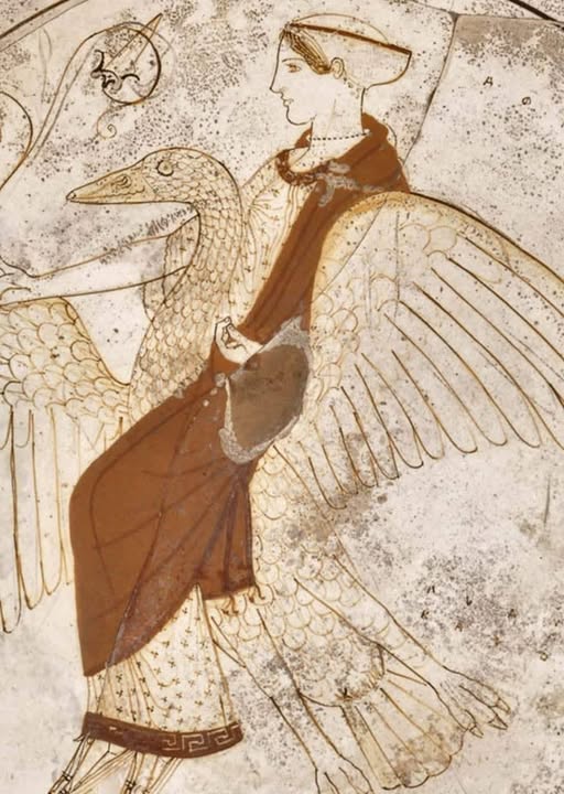 509430178_1028482376132077_6423387184536370992_n