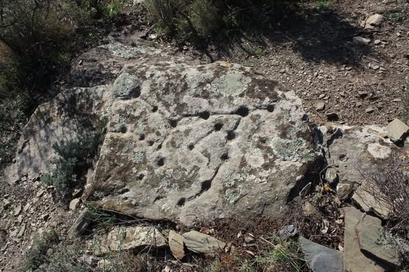 644406508_1547368399694331_6002646487846670832_n