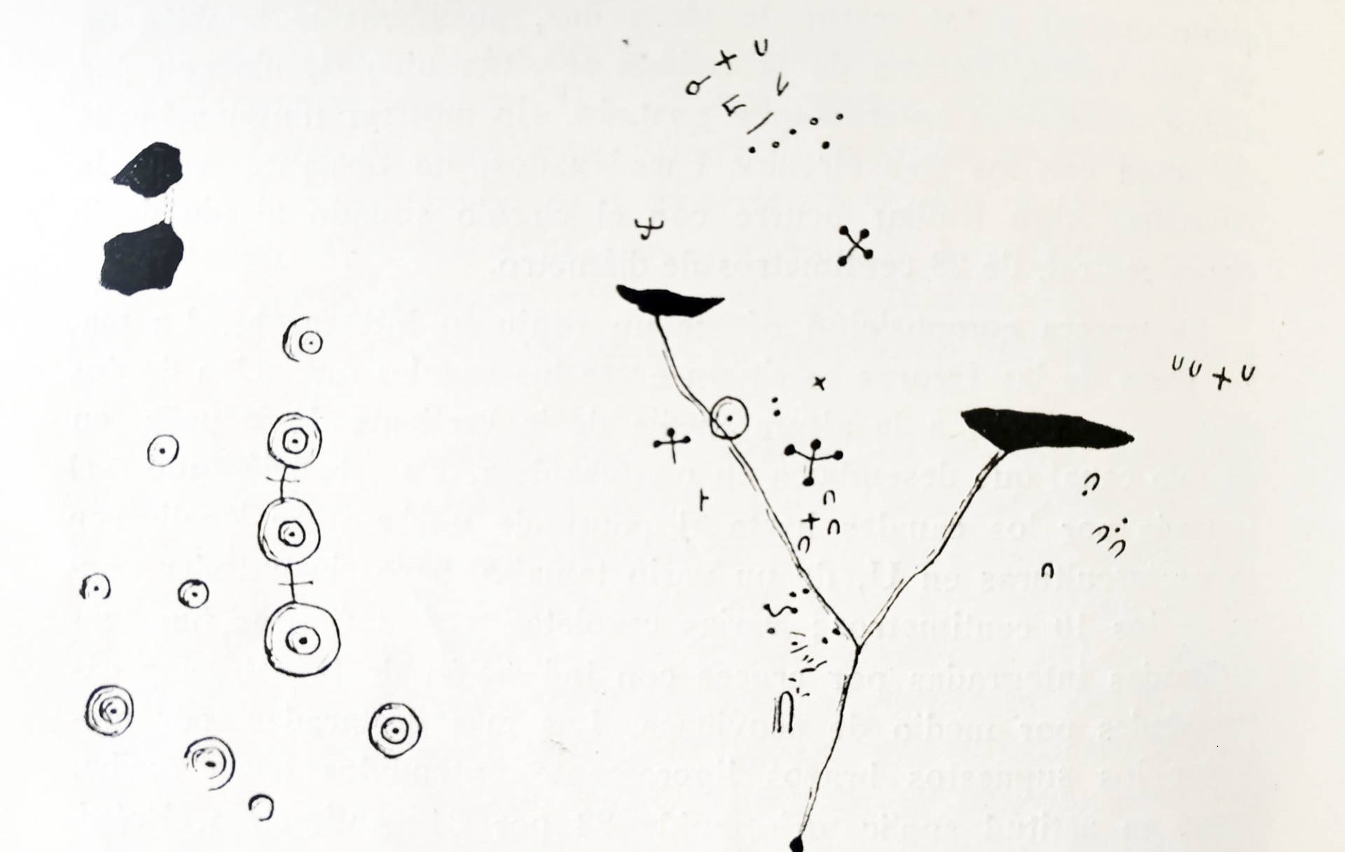 Bosquexo-da-Pedra-que-Fala.1968