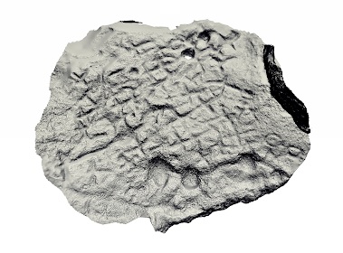 Botelhinha1.jpg