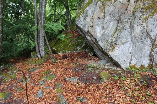 IMG_5269l.jpg