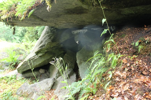 IMG_5287l.jpg