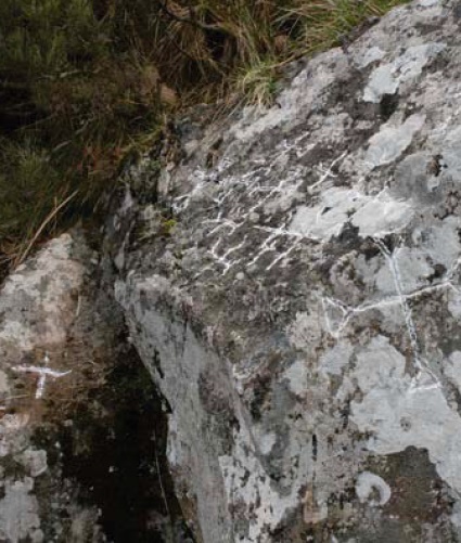 afloramiento2