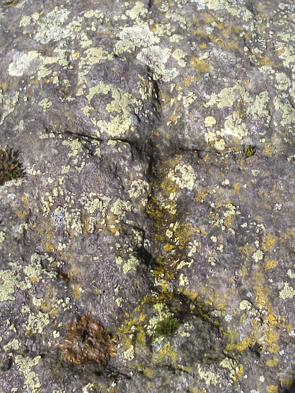 croix_oratoire_villard