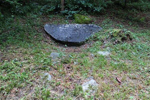 Feissons-sur-Salins