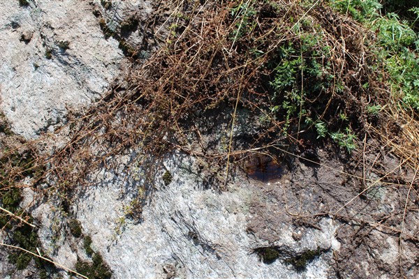 Feissons-sur-Salins