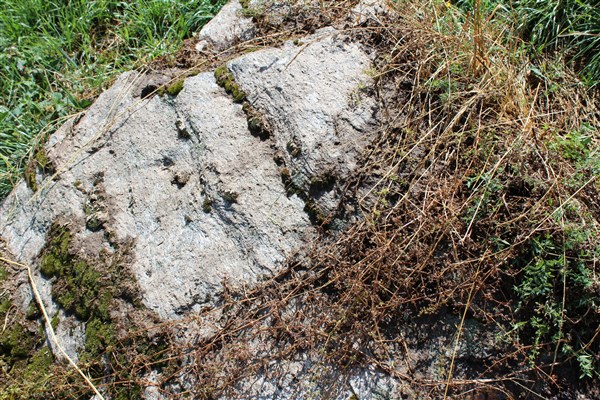 Feissons-sur-Salins