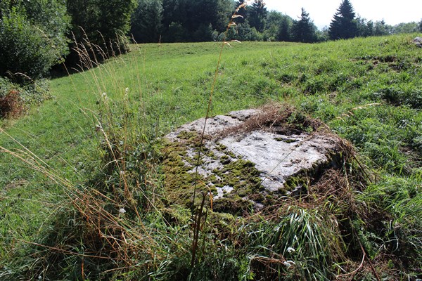 Feissons-sur-Salins