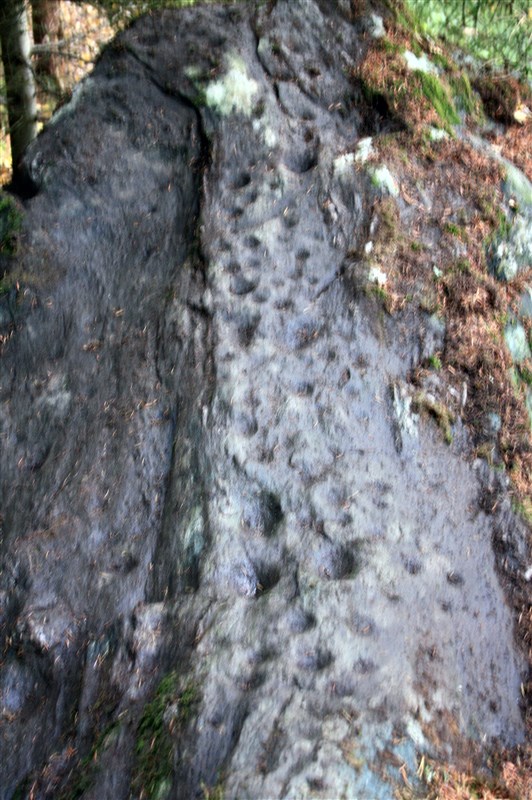 IMG_3586.jpg