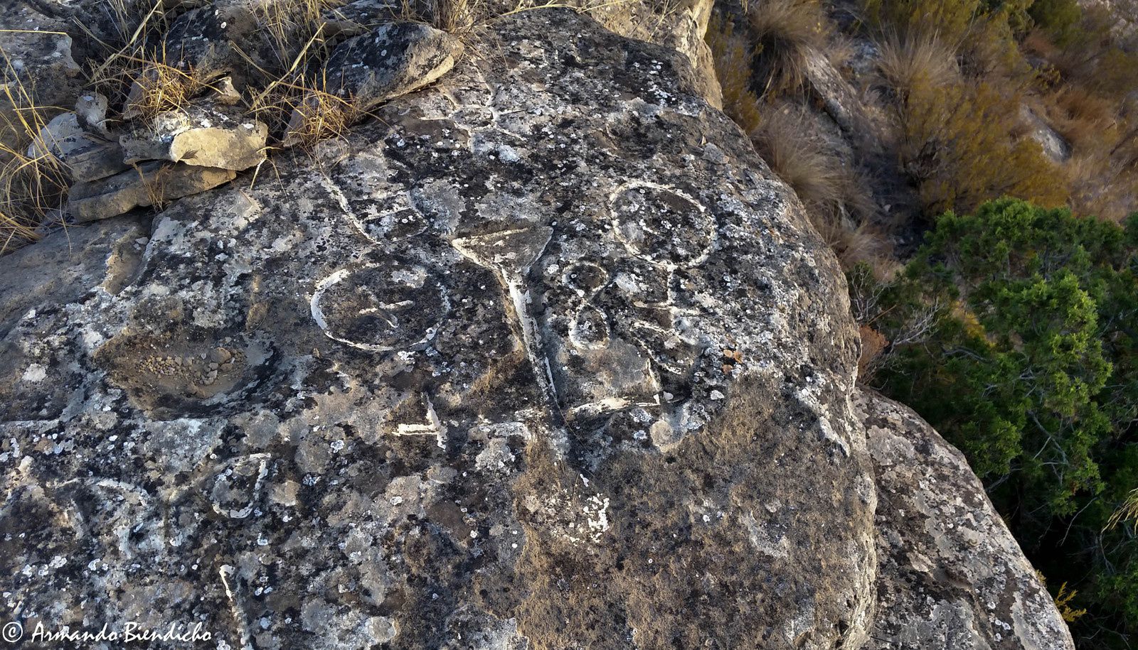 ob_875163_petroglifos-barranco-las-marcas4.jpg