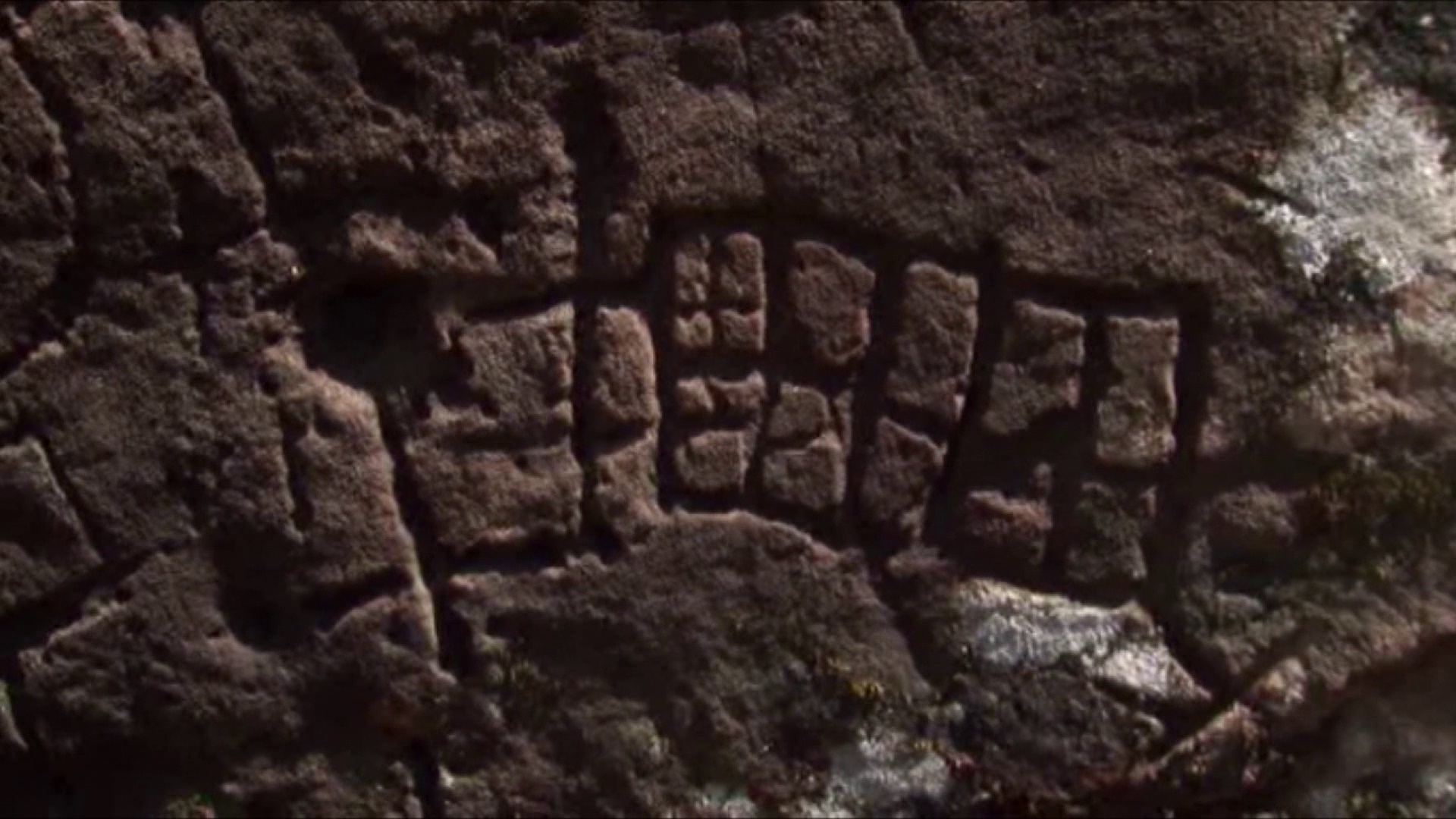 vlcsnap-2019-09-02-14h44m22s50