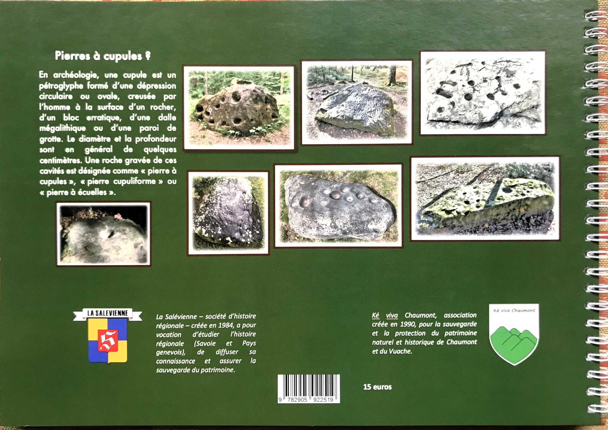 448274770_2313436465669164_1356323973363074980_n