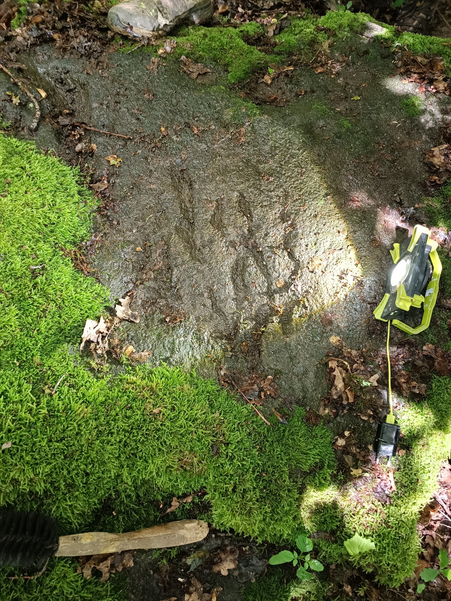 448406226_2313437049002439_8555411127097356419_n