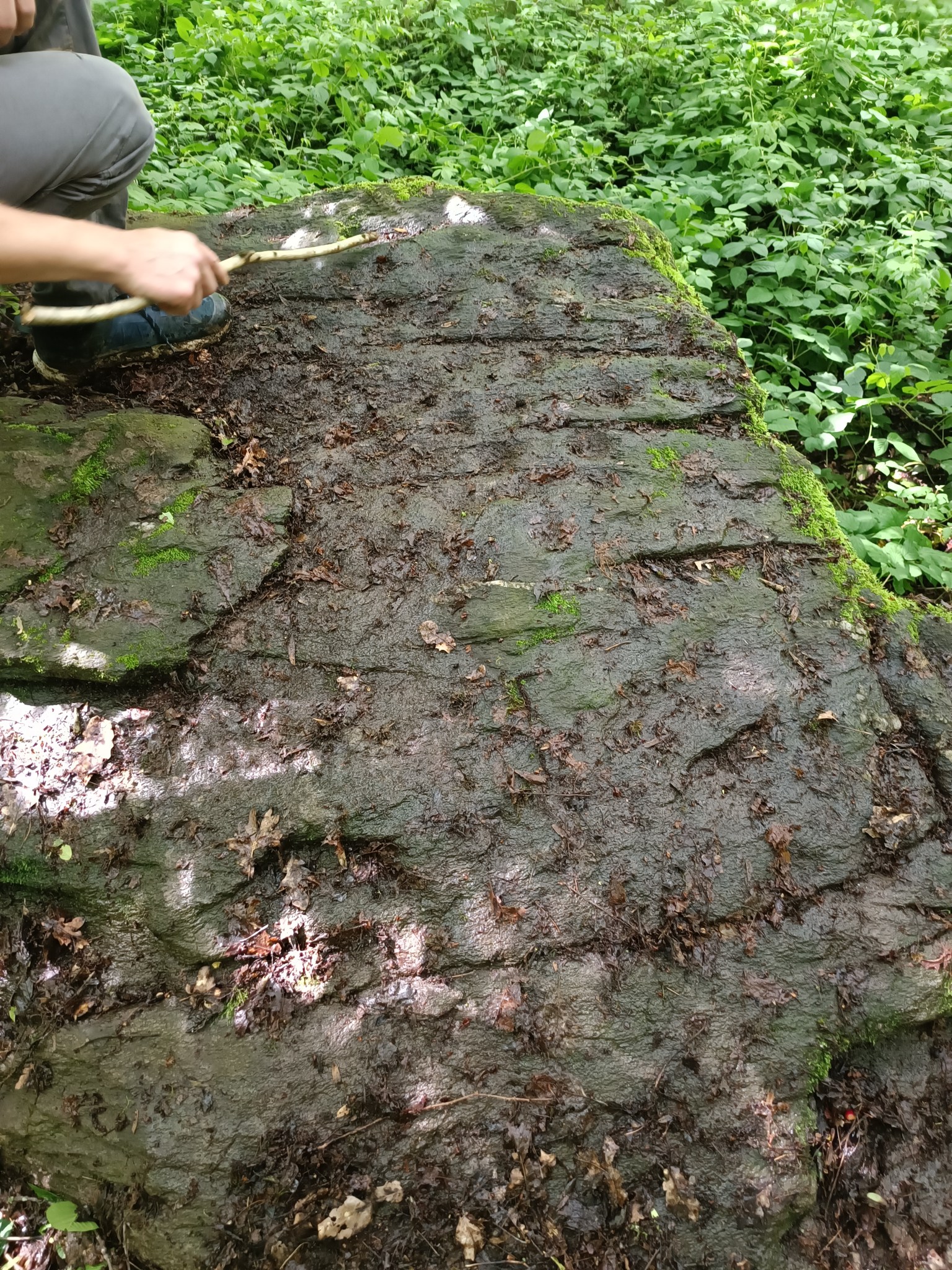 448523089_2313438149002329_5926040617195692605_n